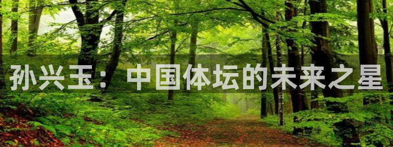 风速体育官网