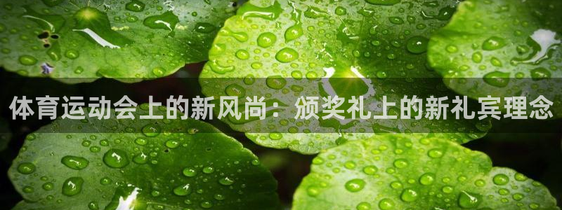 风速体育官网