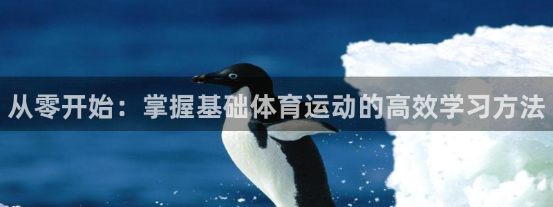 风速体育app下载安装最新版本