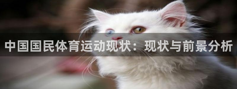 风速体育app下载安装最新版本