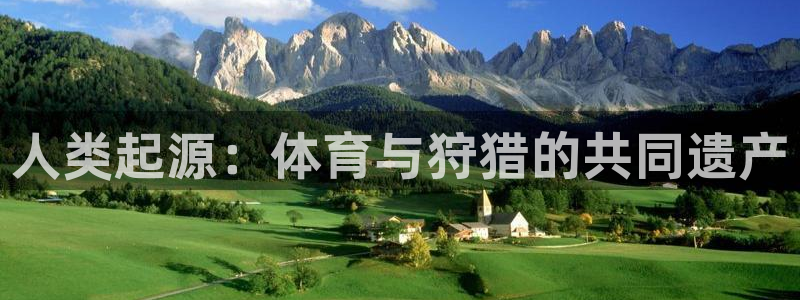 下载风速体育
