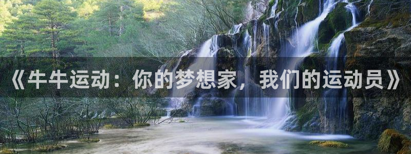 风速体育直播app