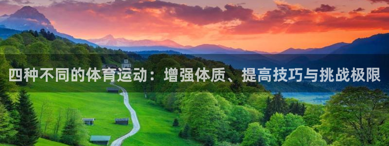 风速体育直播app：四种不同的体育运动：增强体质、提高技巧与挑战极限