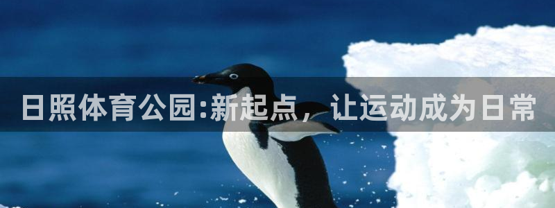 风速体育app下载官网最新版：日照体育公园:新起点，让运动成为日常