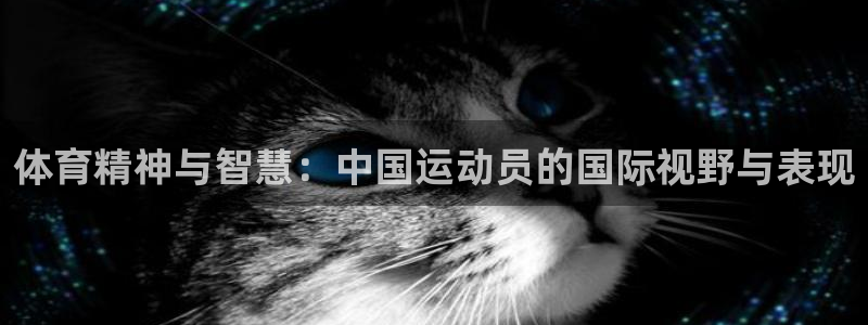 风速体育cba直播