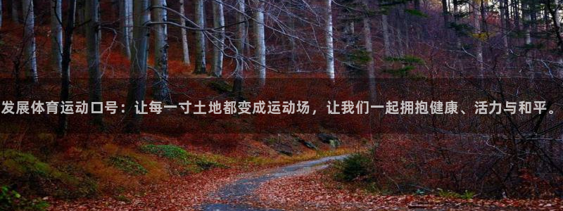 风速体育nba免费直播