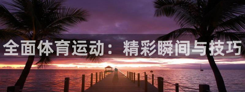 风速体育：全面体育运动：精彩瞬间与技巧