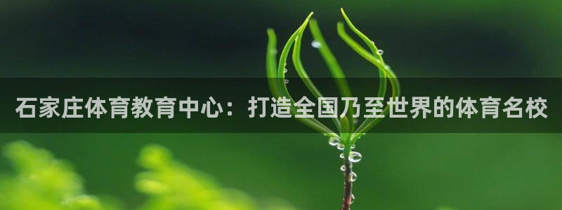 下载风速体育：石家庄体育教育中心：打造全国乃至世界的体育名校