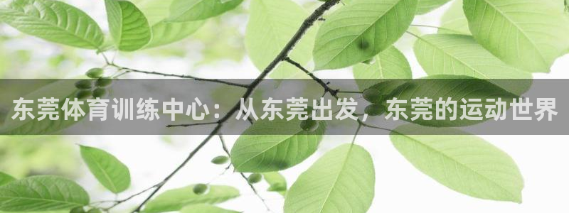 风速体育下载