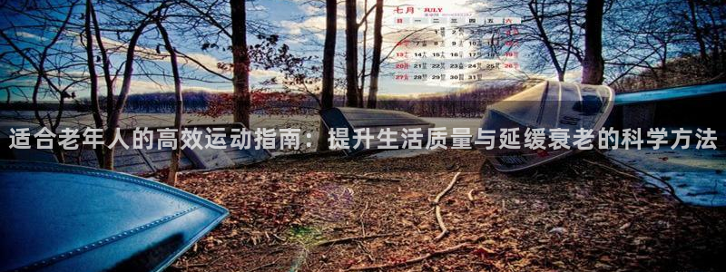 风速体育直播app