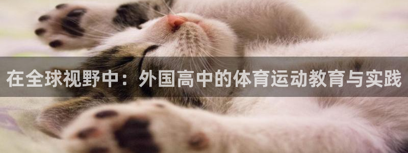 风速体育下载