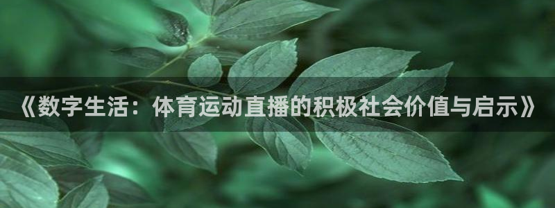 风速体育直播app